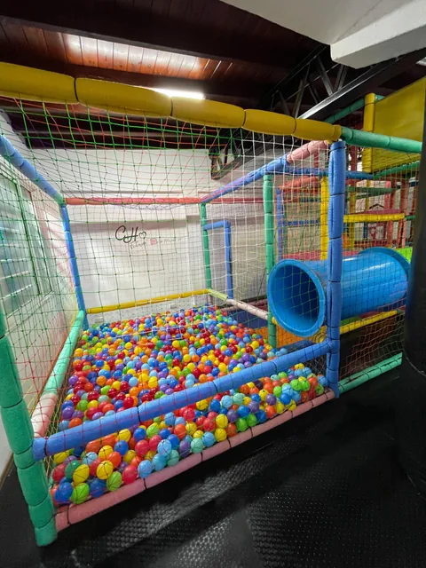 Pelotero de pelotas multicolores de Rústico 6